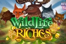 Wildlife Riches