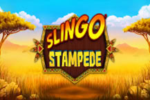 Slingo Stampede