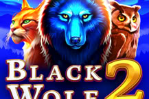 Black Wolf 2