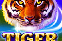 Tiger Stone