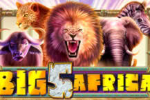 Big 5 Africa