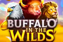 Buffalo in the Wilds