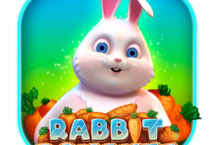 Rabbit Bonanza