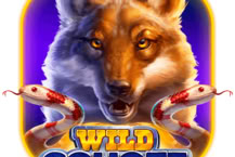 Wild Coyote