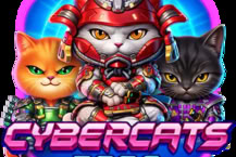 Cybercats 2088
