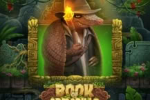 Book Of Armadillo