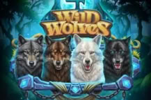 4 Wild Wolves