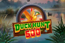 Duck Hunt 500