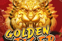 Golden Tiger