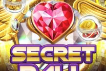 Secret Ball