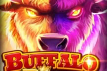 Buffalo Begins