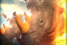 Rhino King