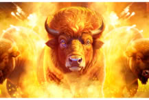 Buffalo Force
