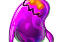 SPOOKY SPOOKY