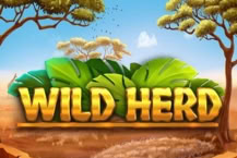 Wild Herd