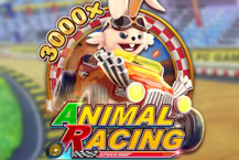 ANIMAL RACING