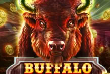 BUFFALO TRAIL