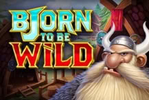Bjorn to Be Wild