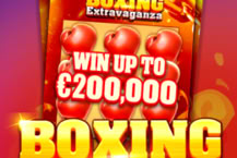 Boxing Extravaganza