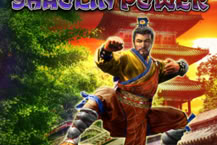 Shaolin Power
