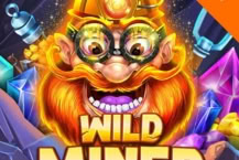 Wild Miner