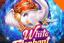 White Elephant