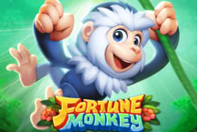 Fortune Monkey