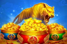 3 Coin Wild Tiger