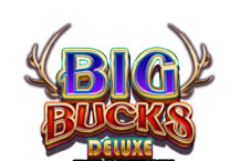 Big Bucks Deluxe Tapcards
