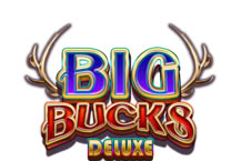 Big Bucks Deluxe