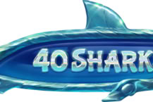 40 Sharks