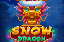Snow Dragon