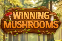 Winning Mushrooms