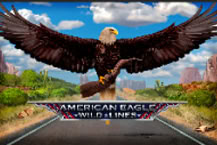 Wild Lines American Eagle