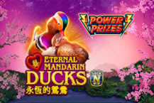 Power Prizes - Eternal Mandarin Ducks