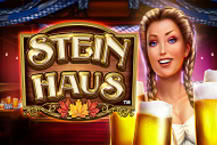 Stein Haus™