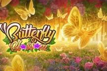 Butterfly Blossom