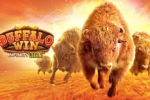 Buffalo Win