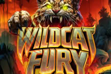 Wildcat Fury
