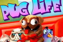 Pug Life
