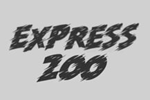 Express 200
