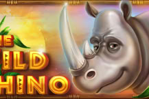 Wild Rhino