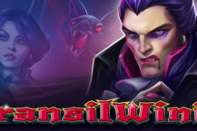 TransilWinia