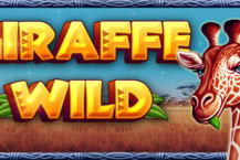Giraffe Wild