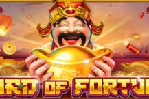 Lord Of Fortune