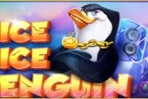 Nice Nice Penguin
