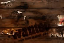 The Saloon