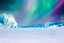 Polar Adventure