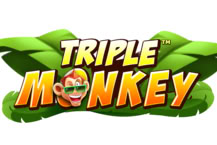 Triple Monkey