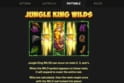 Jungle Stripes